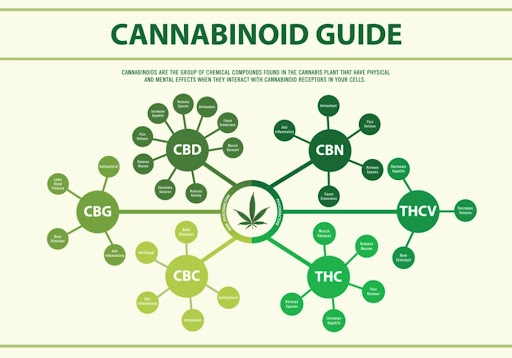 cannabinoid Guide