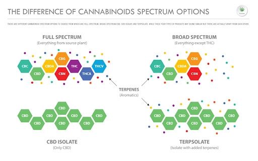 Difference Of Cannabinoids Spectrum options
