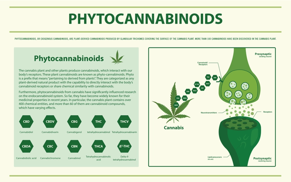 Marijuana has phytocannabinoids