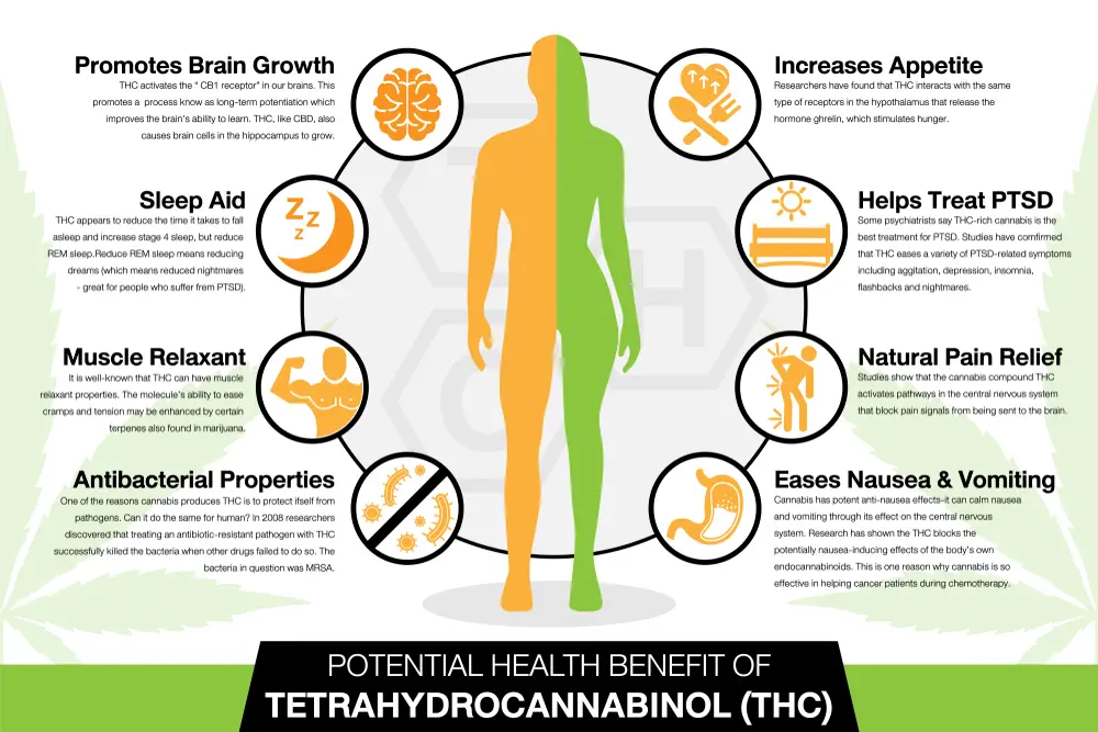 TETRAHYDROCANNABINOL (THC)