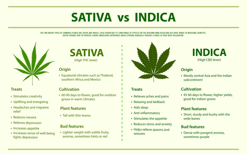 Sativa-vs-Indica.