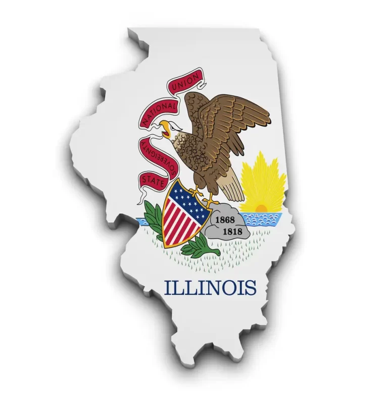 3d of Illinois state map with flag