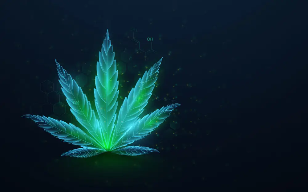 Green-cannabis-leaves