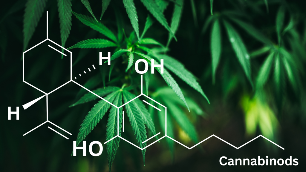 cannabinods molecules