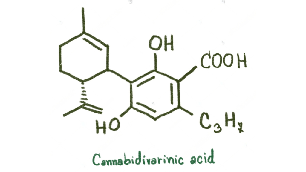 Cannabidivarinic acid