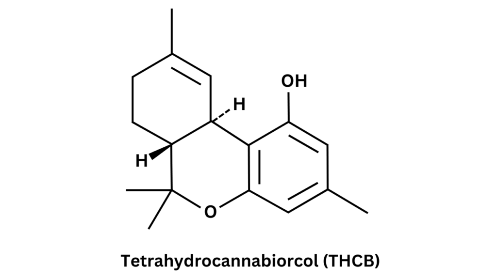Tetrahydrocannabiorcol (THCB)