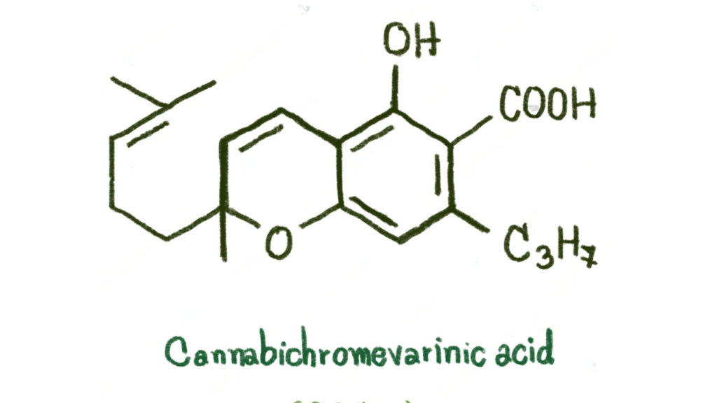 Cannabichromevarinic Acid