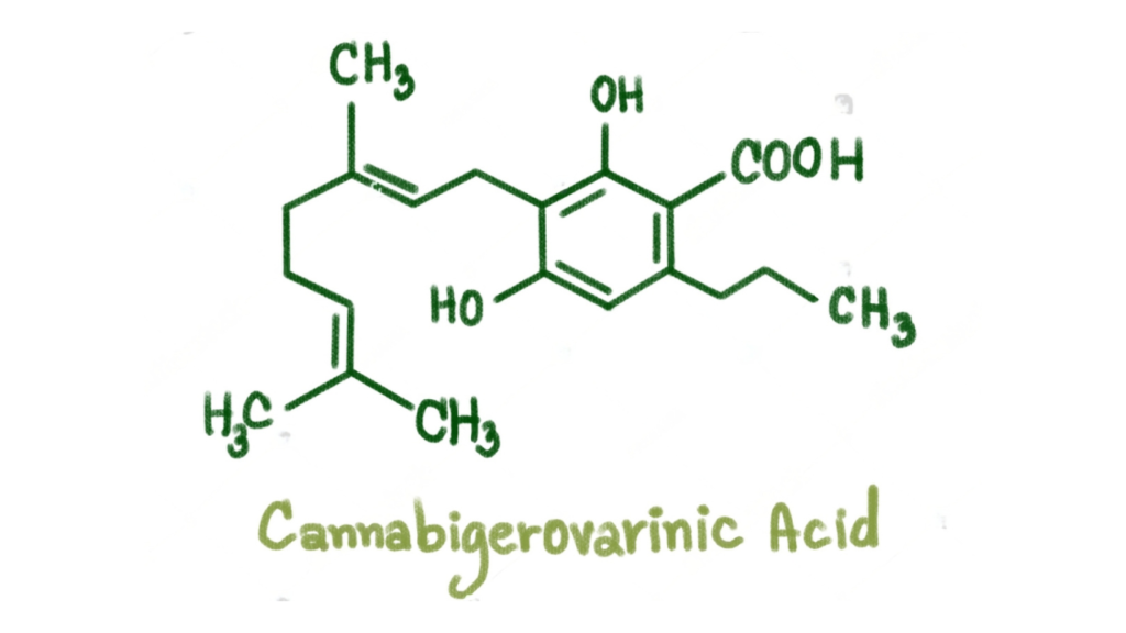 Cannabigerovarinic Acid