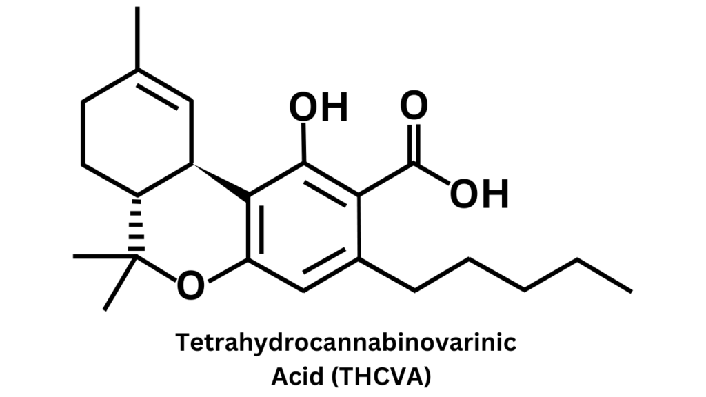 Tetrahydrocannabinovarinic Acid (THCVA)