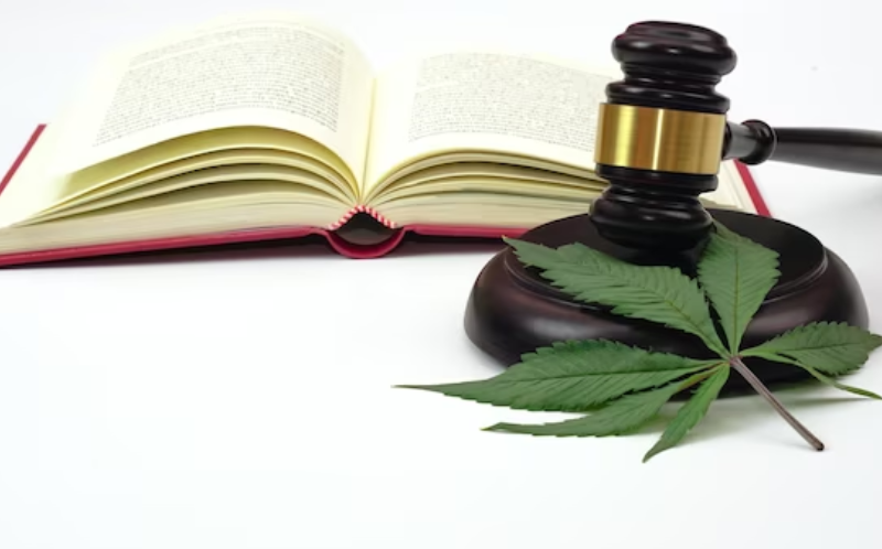 Legal protection for marijuana
