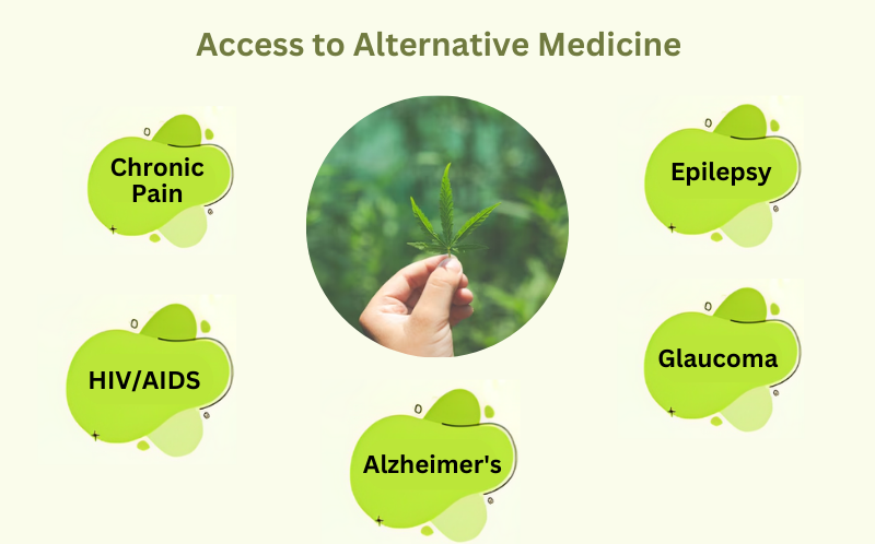 Access Alternative Medicine